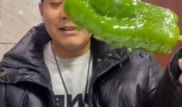 网红肖雅婷视频吃瓜,揭秘娱乐圈幕后真相